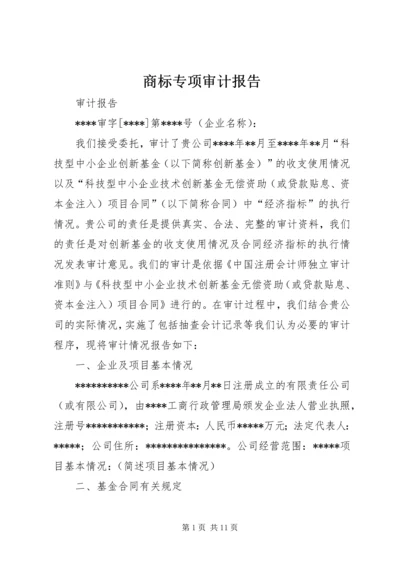 商标专项审计报告.docx