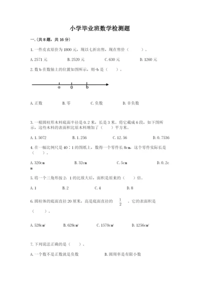 小学毕业班数学检测题（典型题）.docx