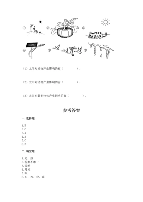 教科版科学二年级上册《期末测试卷》精品（考点梳理）.docx
