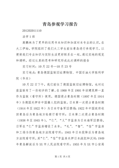 青岛参观学习报告.docx