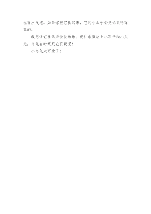 描写动物的作文：乌龟.docx