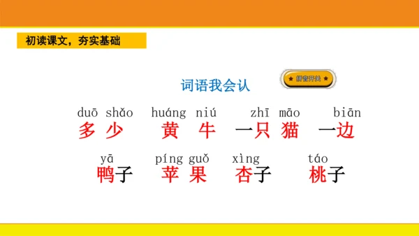7 大小多少  课件