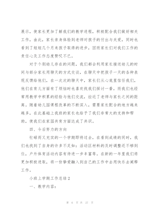 小班上学期工作总结大全5篇.docx