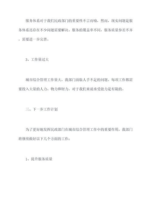 民政领导综治述职报告