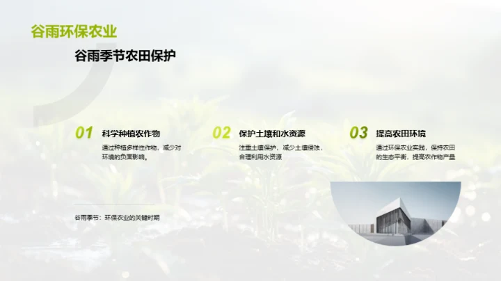 实践谷雨环保农业