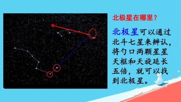 17要是你在野外迷了路课件