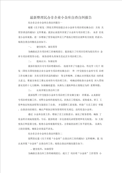 最新整理民办非企业小金库自查自纠报告
