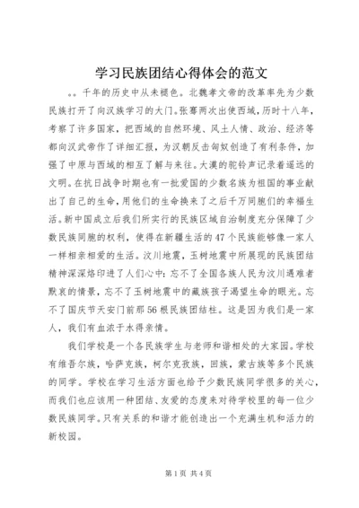 学习民族团结心得体会的范文.docx