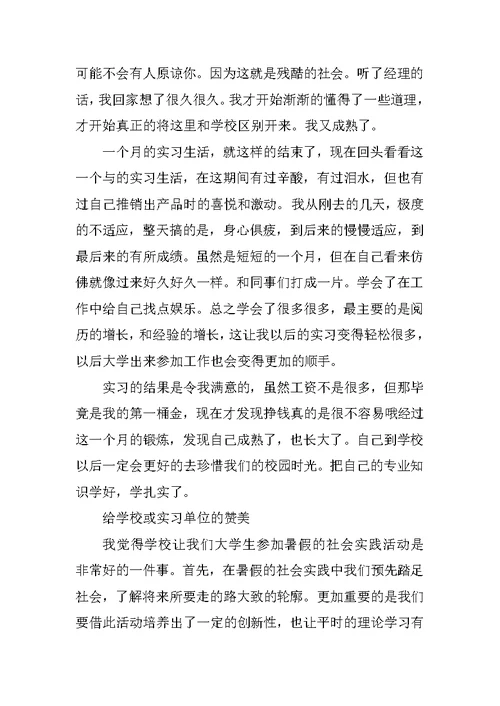 大学生暑期社会实践报告（营销员）