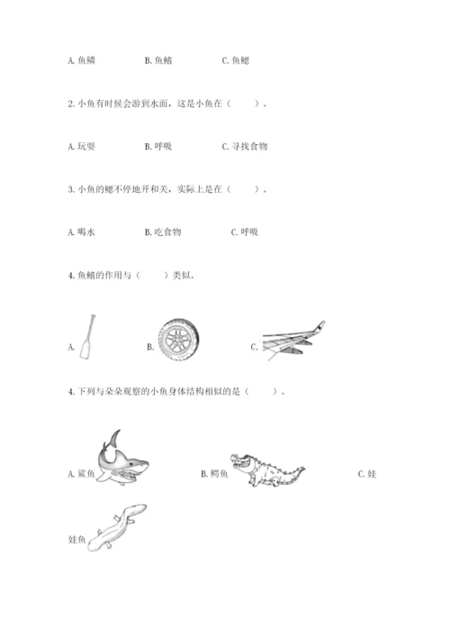 教科版一年级下册科学期末测试卷含答案（培优b卷）.docx