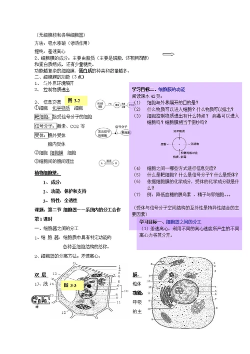 高中生物必修一教案板书讲稿