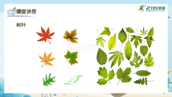 人教版一年级美术下册2.《走进大自然》课件（23页）