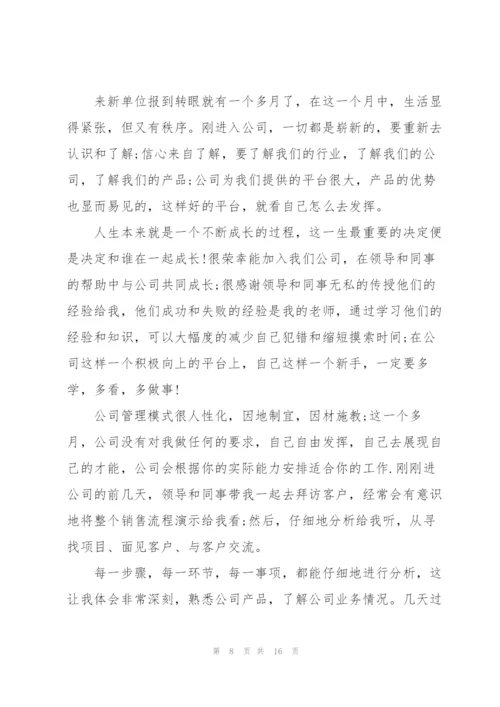 销售人员个人述职报告范文.docx