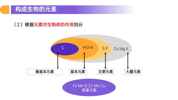 人教版高中生物细胞元素化合物PPT课件
