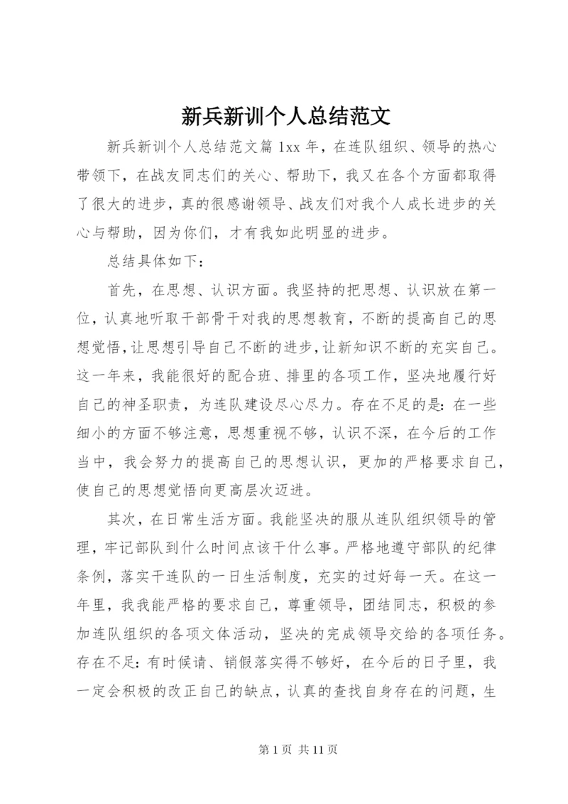 新兵新训个人总结范文.docx