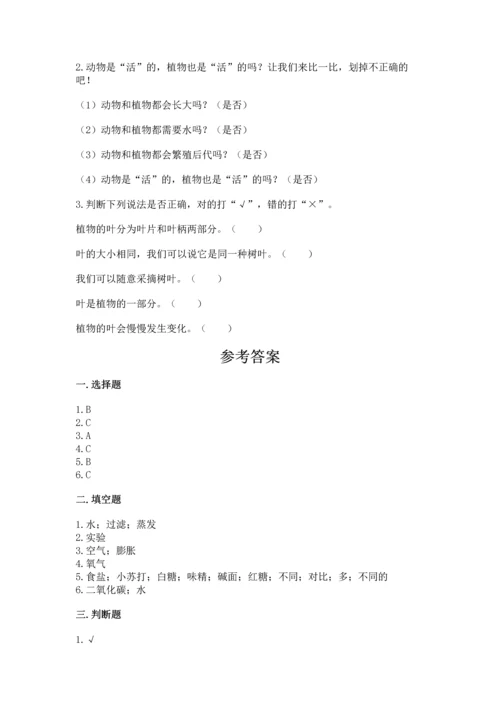 教科版科学一年级上册第一单元《植物》测试卷及答案（基础+提升）.docx