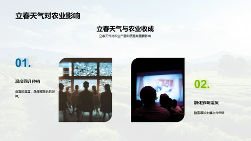 立春节气的奥秘解析