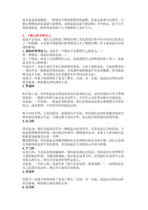 仓鼠饲养手册修订稿