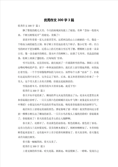 优秀作文300字3篇