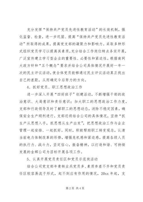 电力公司党支部新年工作计划范文.docx