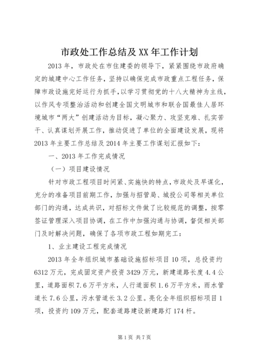 市政处工作总结及XX年工作计划.docx