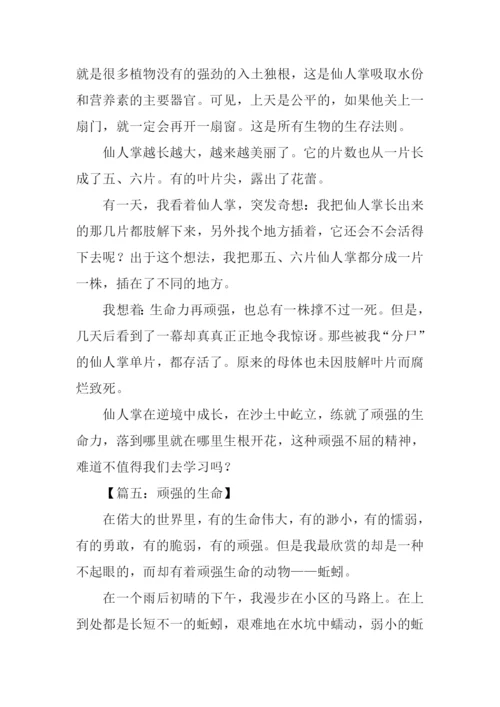 顽强的生命作文500字.docx