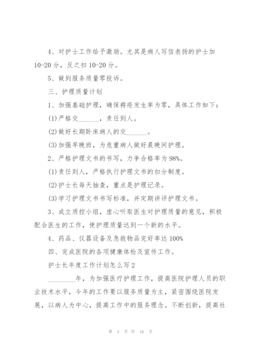 护士长年度工作计划怎么写5篇.docx