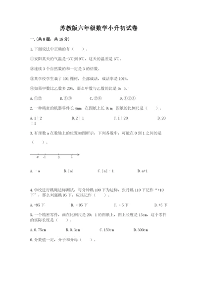 苏教版六年级数学小升初试卷（典优）.docx