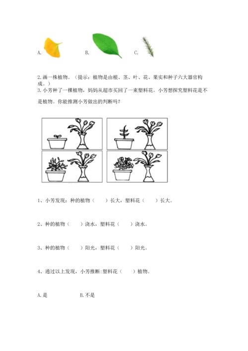 教科版科学一年级上册第一单元《植物》测试卷带答案（b卷）.docx