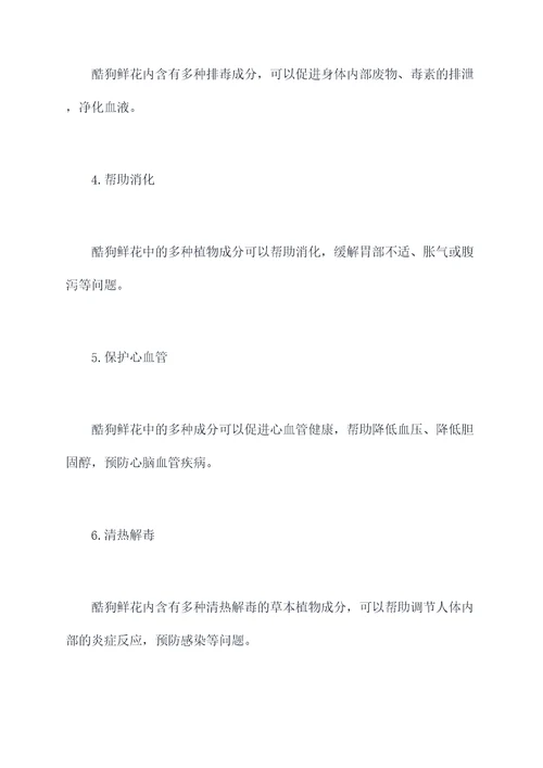 酷狗鲜花功效与作用
