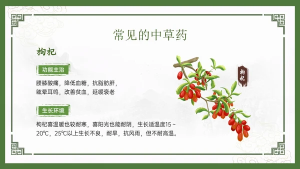 绿色中国风古风神奇中草药主题班会PPT模板中医药