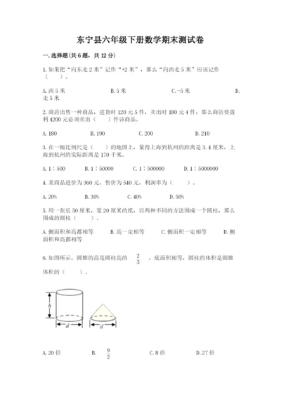 东宁县六年级下册数学期末测试卷word版.docx
