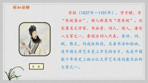17课《古诗三首》《望天门山》《饮湖上初晴后雨》   课件