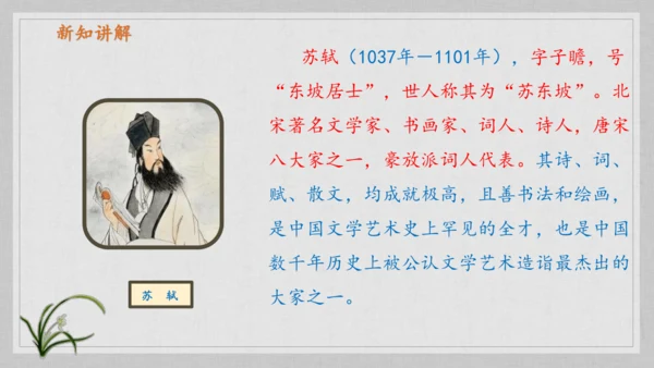 17课《古诗三首》《望天门山》《饮湖上初晴后雨》   课件
