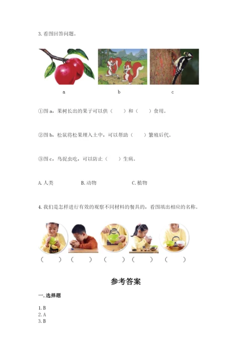 教科版科学二年级上册期末测试卷附答案（培优a卷）.docx