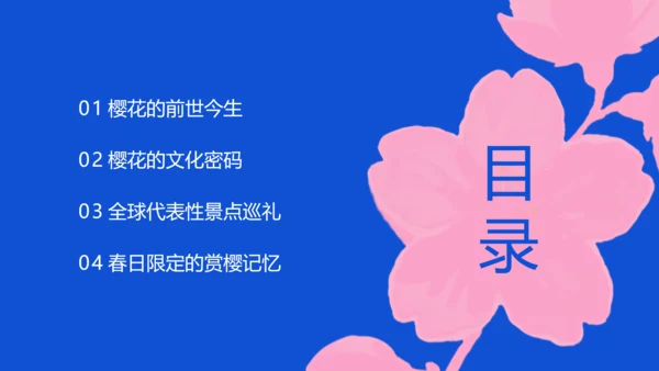 蓝色极简风赏樱攻略