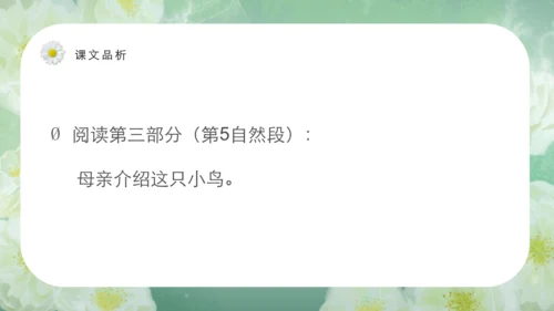 第15课《搭船的鸟》课件