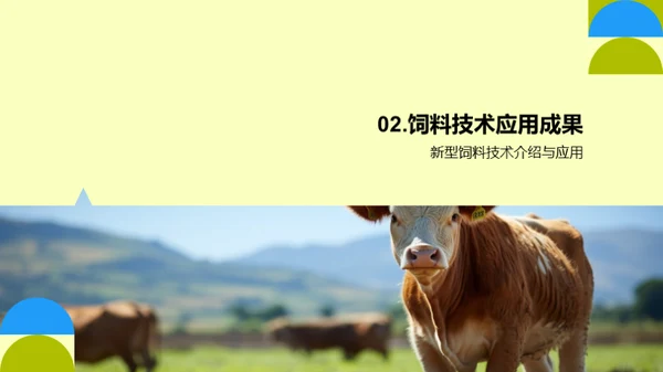 畜牧业季度绩效回顾