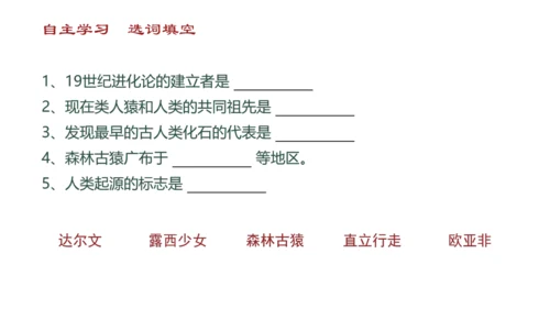 4.1.1人的起源和发展课件(共17张PPT)人教版七年级下册