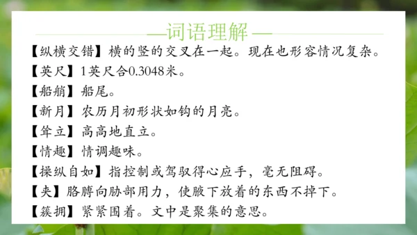 统编版语文五年级下册第七单元（课件）