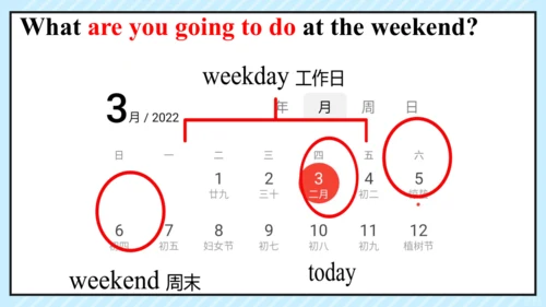 Module 3 Making plans Unit 1 同步课件