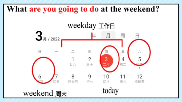 Module 3 Making plans Unit 1 同步课件