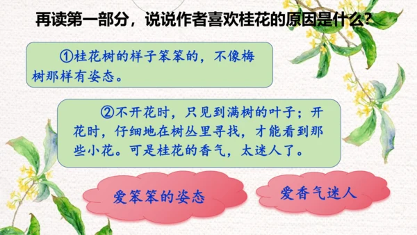 3.桂花雨  课件