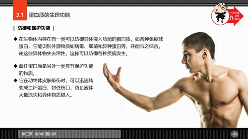 运动营养学通用PPT模板