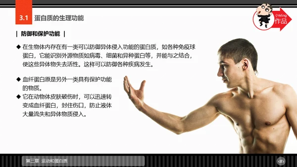 运动营养学通用PPT模板