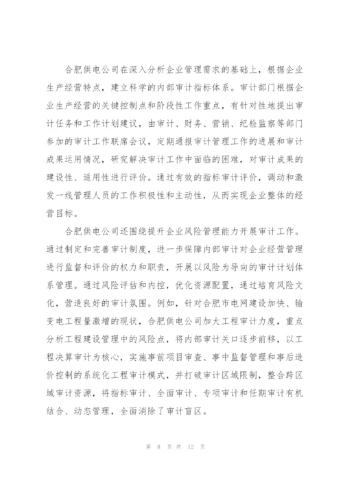 新成立公司内部审计工作总结.docx