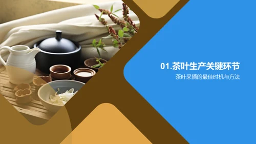 茶叶生产全链路探析