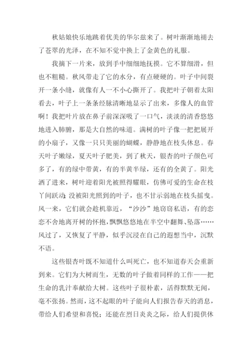 写银杏叶的作文400字.docx