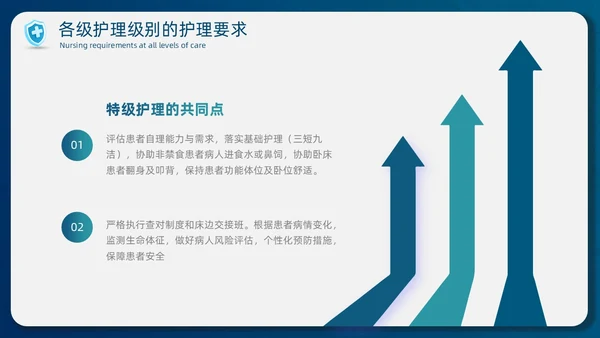蓝色简约商务护士医务分级护理制度培训总结PPT