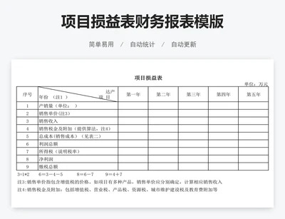 项目损益表财务报表模版